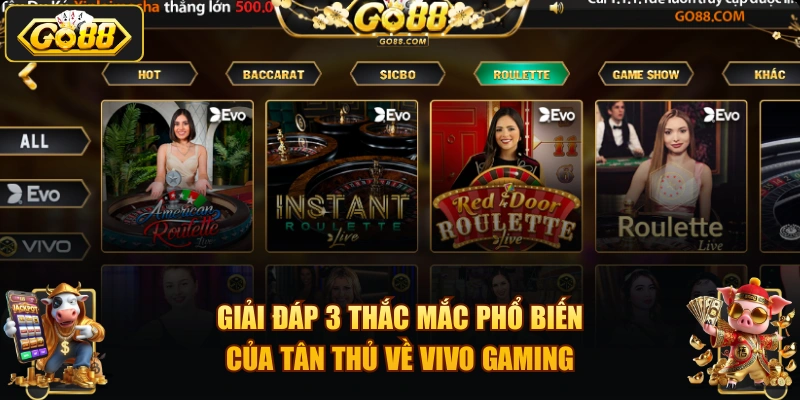 Giải đáp 3 thắc mắc phổ biến của tân thủ về Vivo Gaming